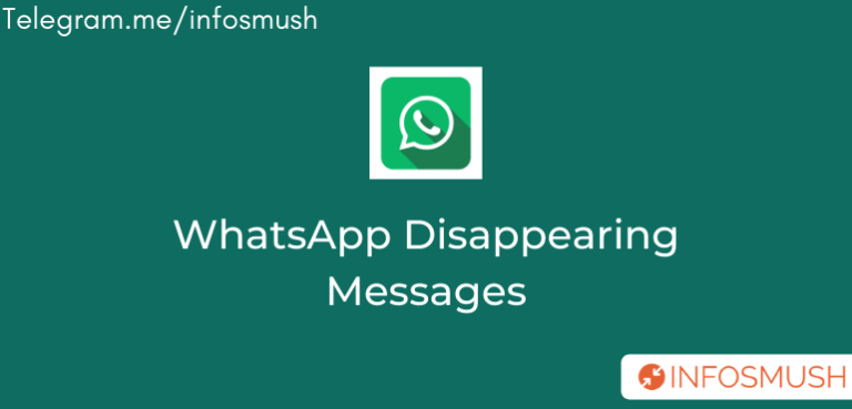 Read more about the article How WhatsApp Disappearing Messages Feature Will Work