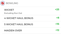 bowling fantasy points